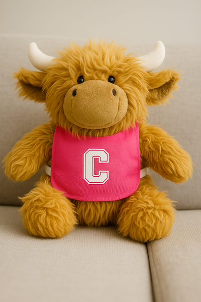 Nettie The Highland Cow