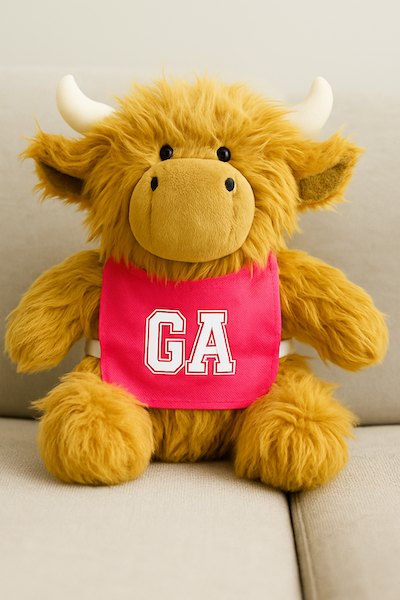 Nettie The Highland Cow