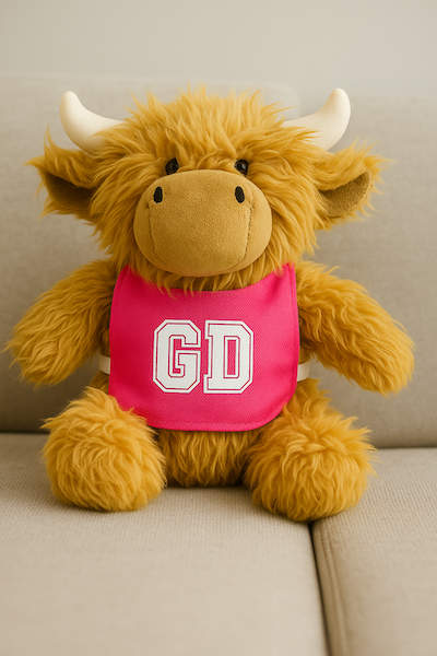 Nettie The Highland Cow