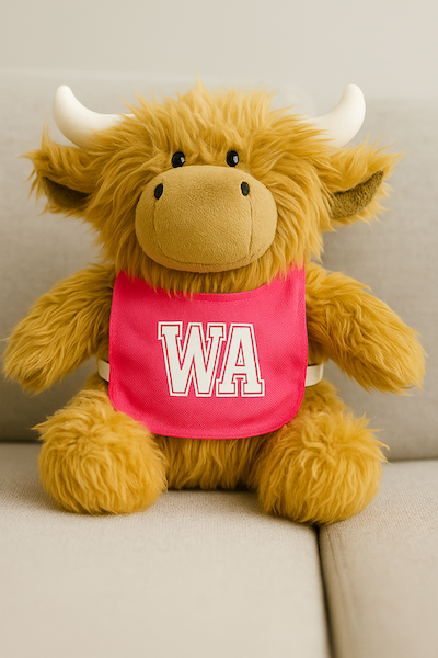 Nettie The Highland Cow